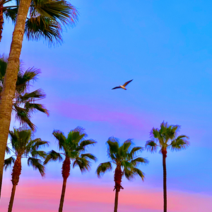 羞羞网站在线观看视频
