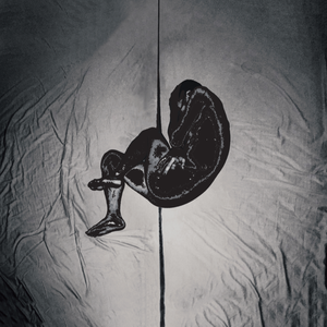 羞羞网站在线观看视频
