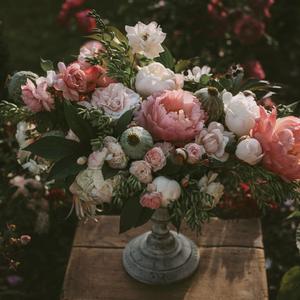 羞羞网站在线观看视频
