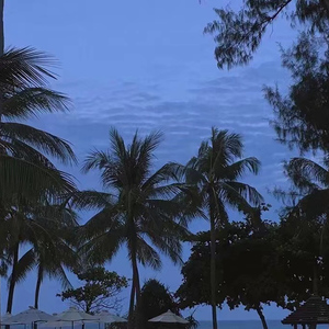 羞羞网站在线观看视频
