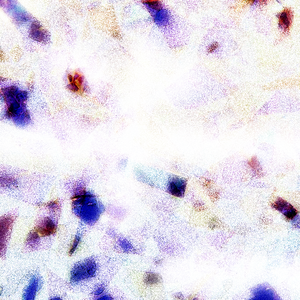 羞羞网站在线观看视频
